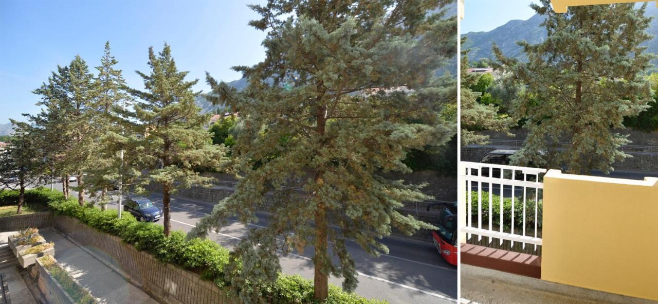 Unico Apartman Kotor Kültér fotó